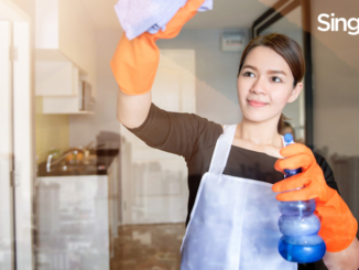 Various Instances Where A Maid Insurance Can Be Extremely Helpful