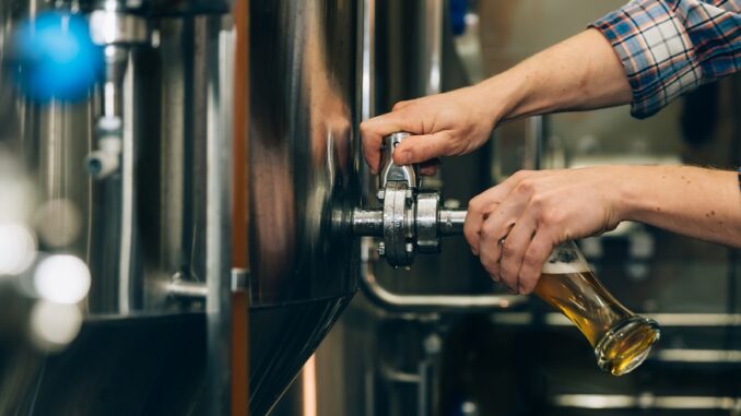 Brewer filling beer